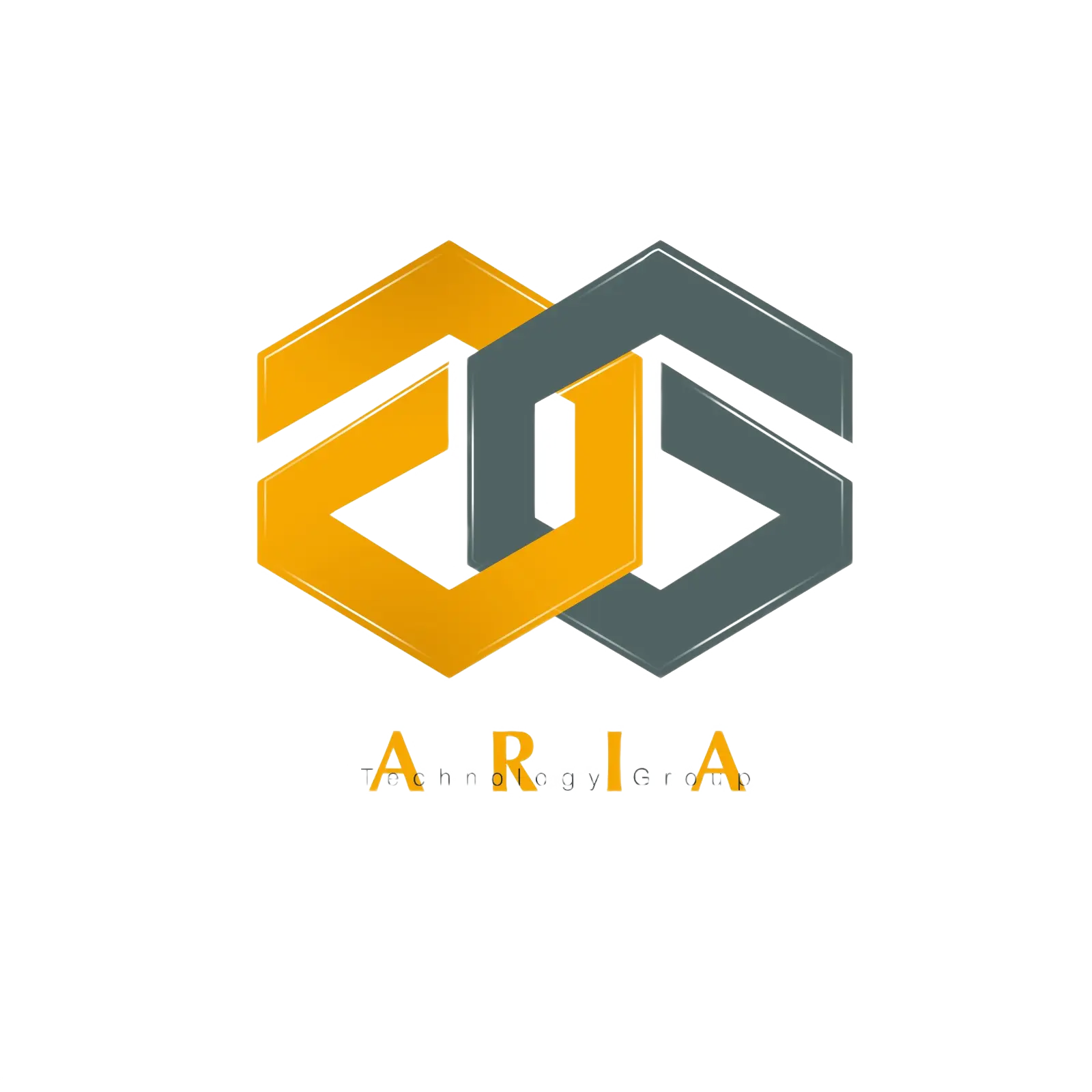 شرکت ارتباط سازان نگین فن آوری آریا